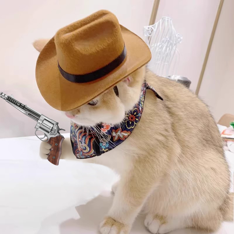 Cowboy Hat Straw - ﻿ 고양이 카우보이 모자 애완 동물